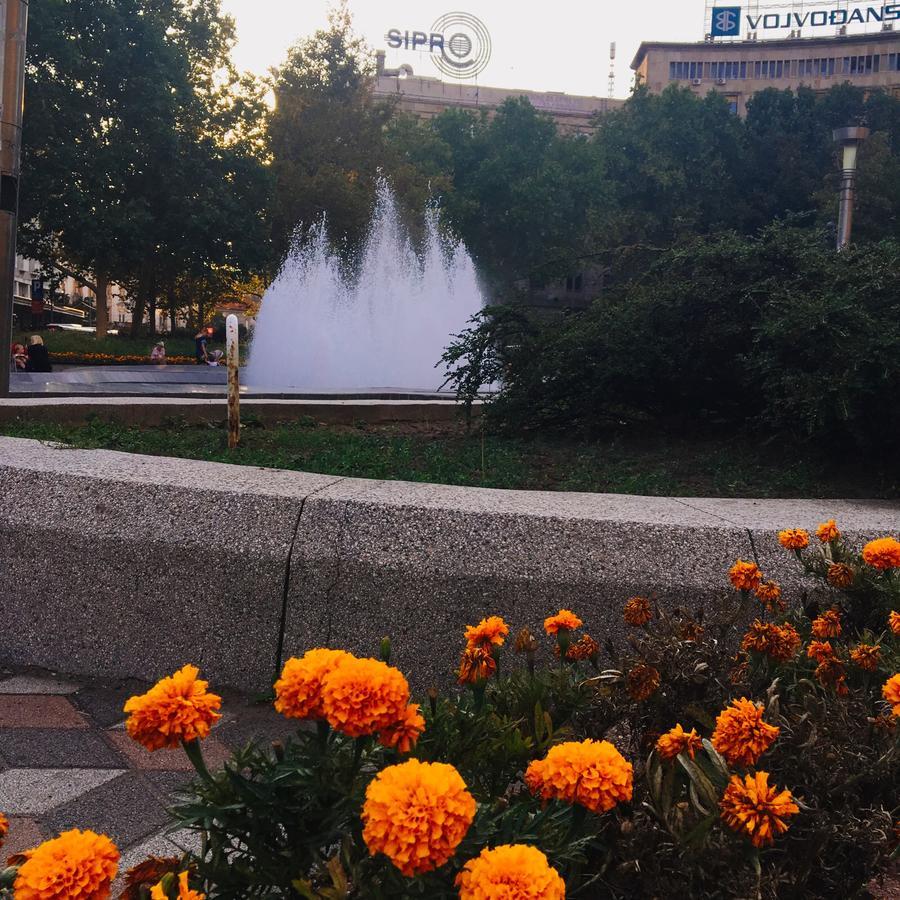 Sunrise Apartment Belgrade Luaran gambar